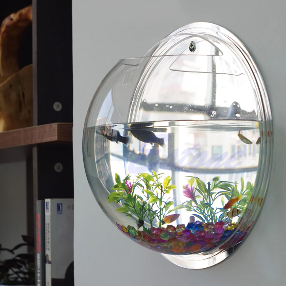 Planted Aquarium Bowl - Wall Mounted Acrylic Fish Bowl Transparent