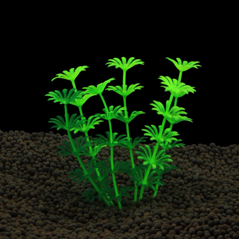Planted Aquarium Bowl - Fish Tank Ornament Plant Aquarium Artificial