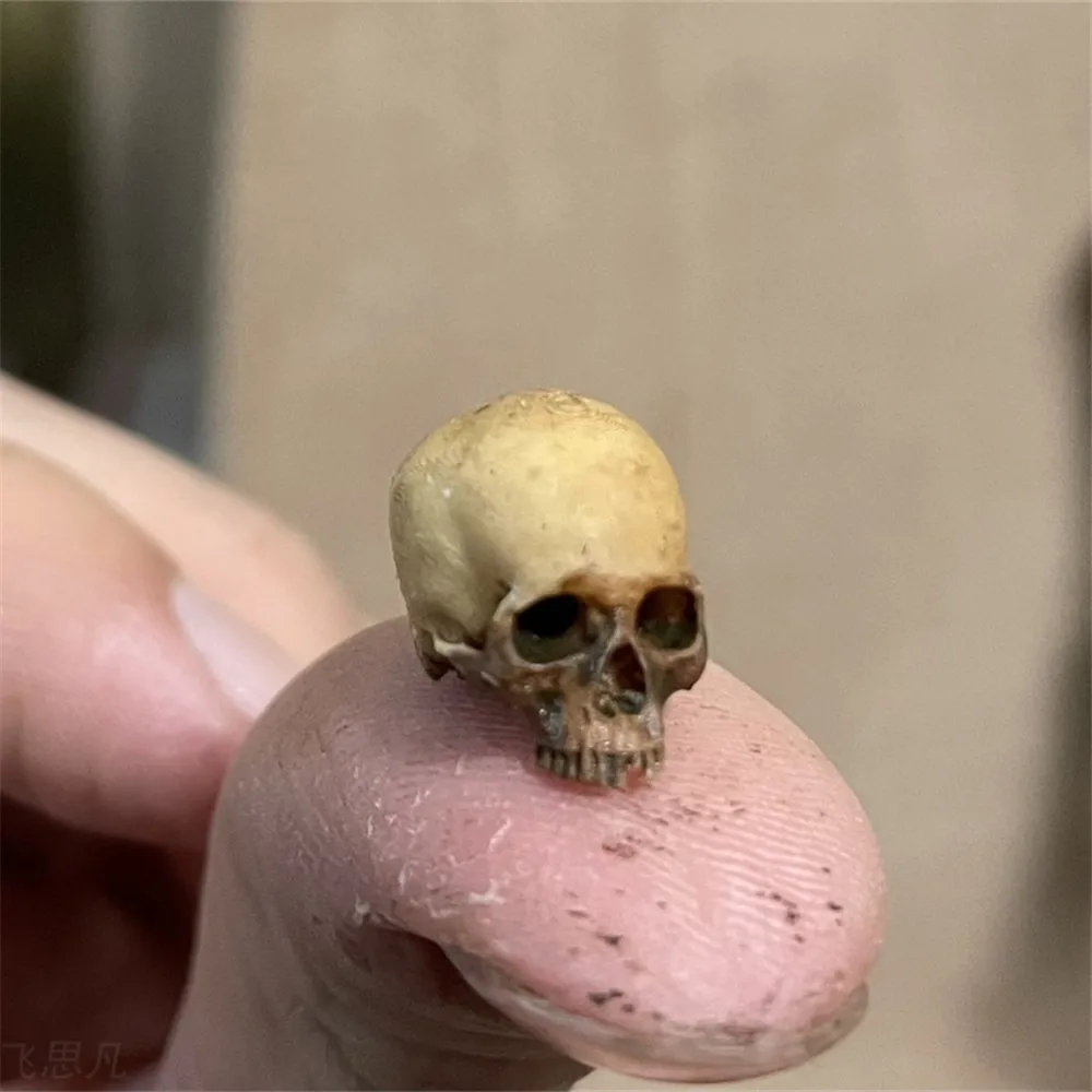 Aquarium Plants Book - Mini Skull High Quality Miniature Model