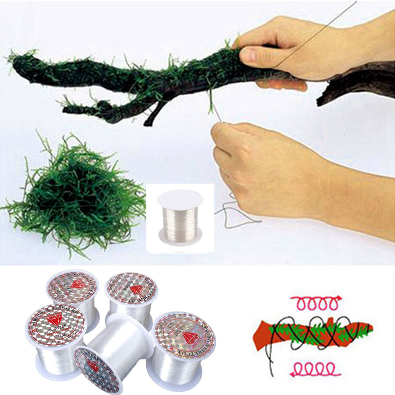 Aquarium Plant Echinodorus - 120M DIY Moss Line Binding Line