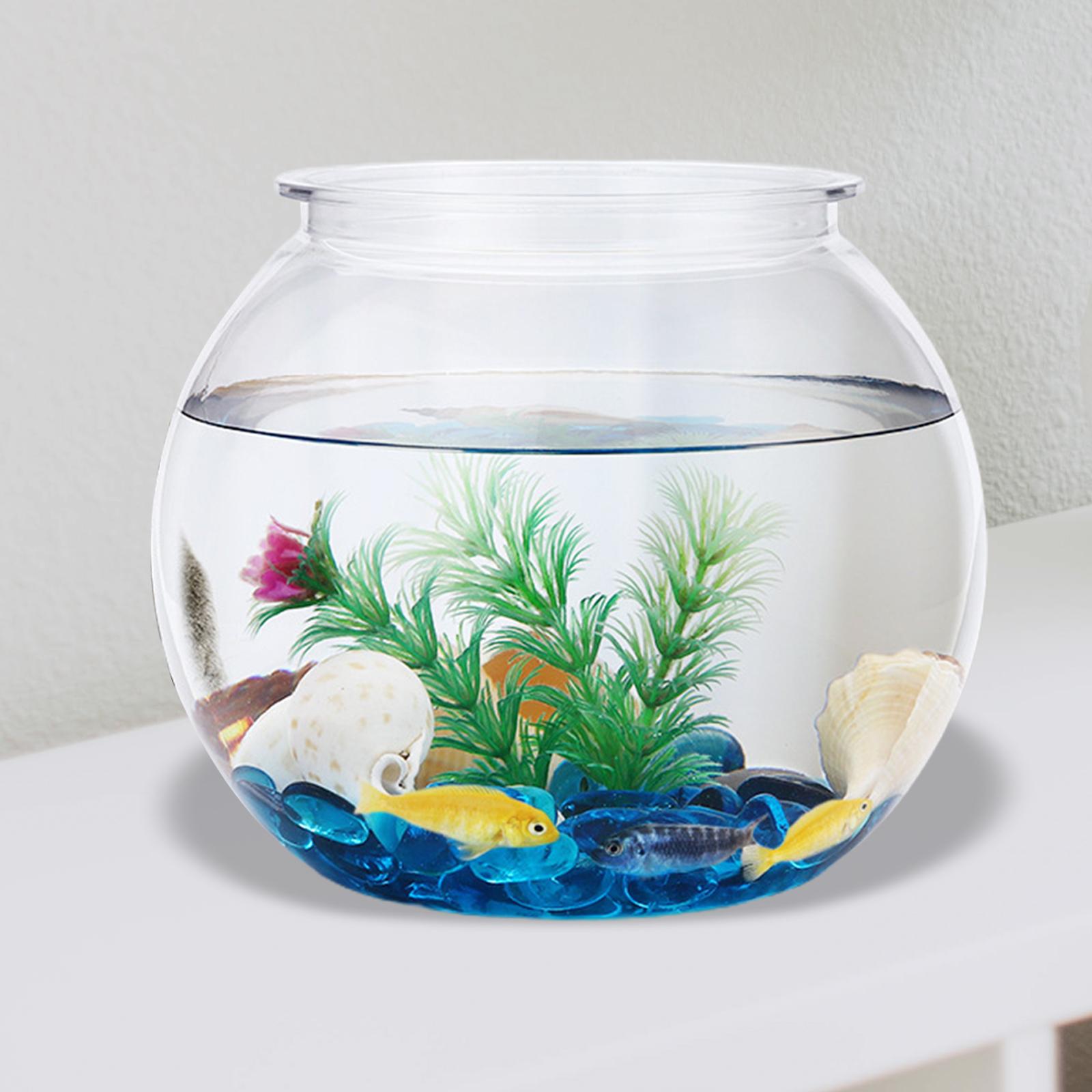 Transparent Small Fish Tank De - огляд і ціна Planted Aquarium Bowl