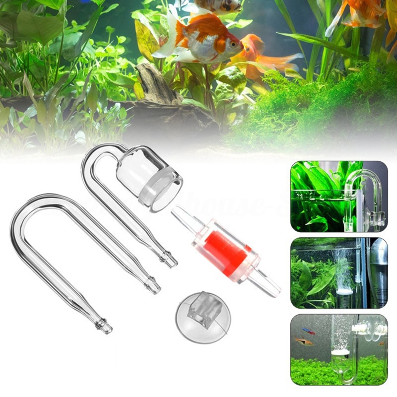 4pcs Set DIY CO2 Diffuser For  - огляд і ціна Aquarium Plant Echinodorus