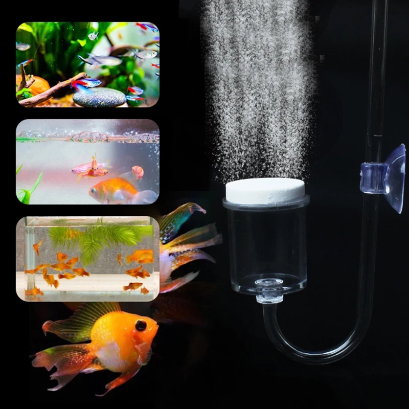 4pcs Set DIY CO2 Diffuser For  - огляд і ціна Aquarium Plant Echinodorus
