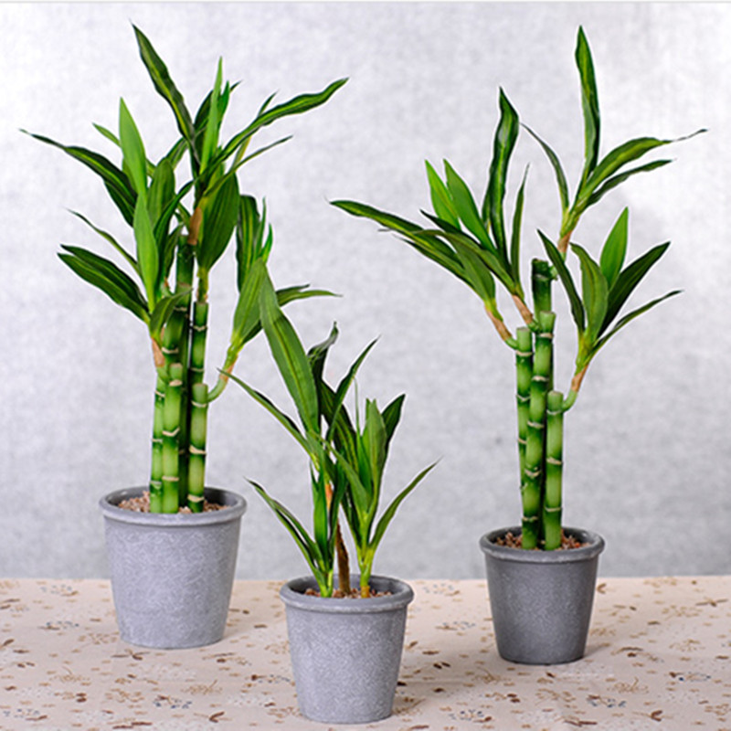 New 40cm rFtificial Lucky Bamb - огляд і ціна Aquarium Plants Book