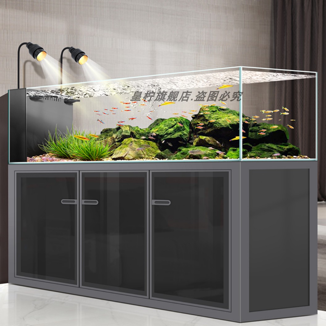 Yjq Industrial Wind Stream Tan - огляд і ціна Aquarium Plant Echinodorus