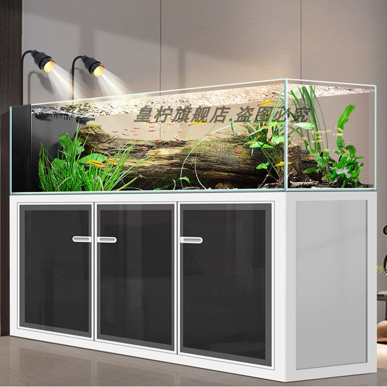 Yjq Industrial Wind Stream Tan - огляд і ціна Aquarium Plant Echinodorus