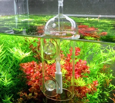 VIV Do Device Aquarium Cylinde - огляд і ціна Planted Aquarium Parameters
