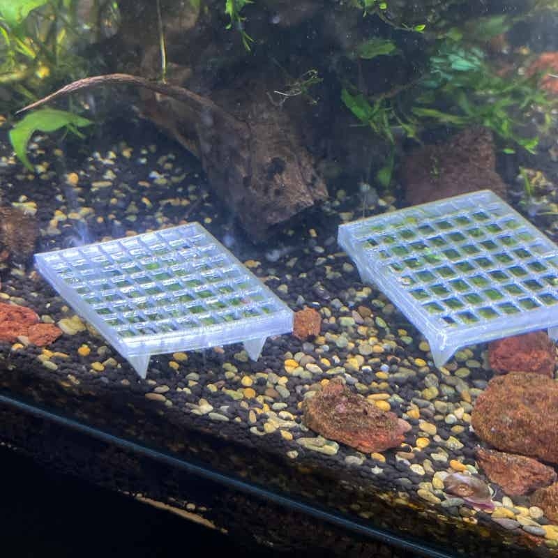 Aquarium Moss Cage Holder Fish - огляд і ціна Aquarium Plant Echinodorus