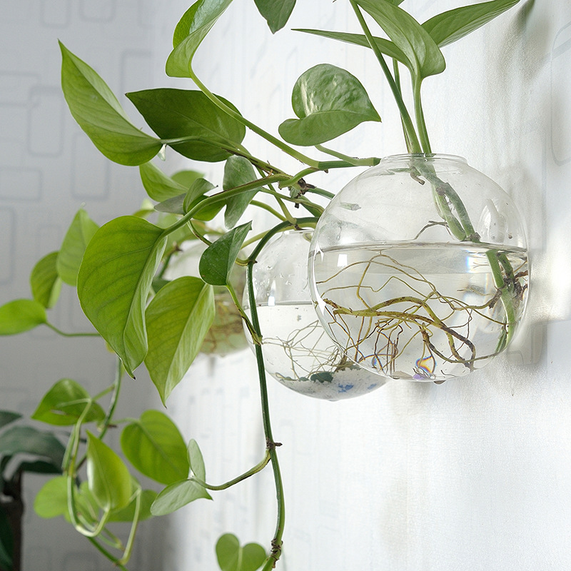 Wall Hanging Acrylic Fish Bowl - огляд і ціна Planted Aquarium Bowl