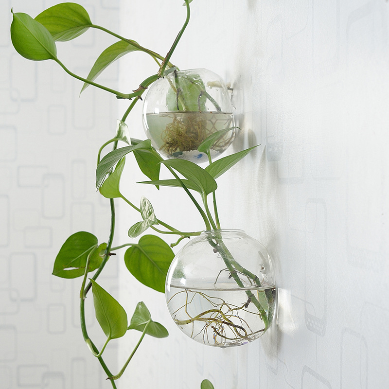 Wall Hanging Acrylic Fish Bowl - огляд і ціна Planted Aquarium Bowl