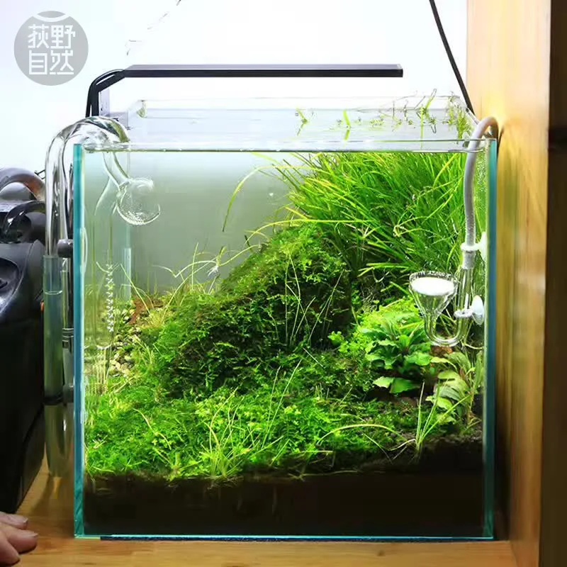Chihiros C Series ADA Style Pl - огляд і ціна Aquarium Plant Growing