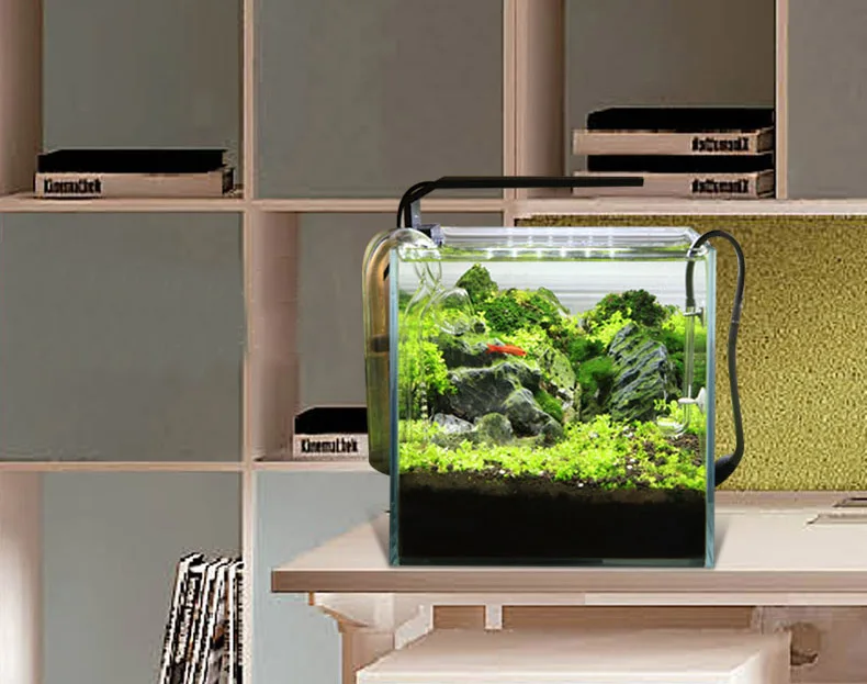 Chihiros C Series ADA Style Pl - огляд і ціна Aquarium Plant Growing
