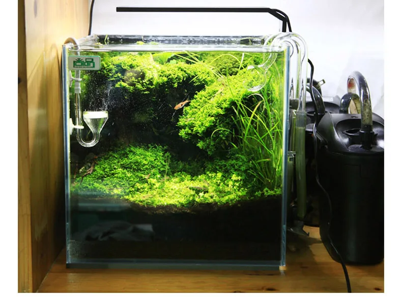 Chihiros C Series ADA Style Pl - огляд і ціна Aquarium Plant Growing