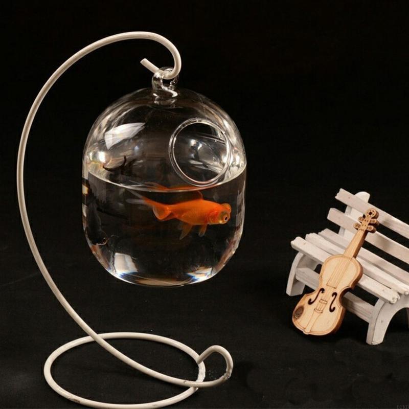 62KD Suspended Transparent Han - огляд і ціна Planted Aquarium Bowl