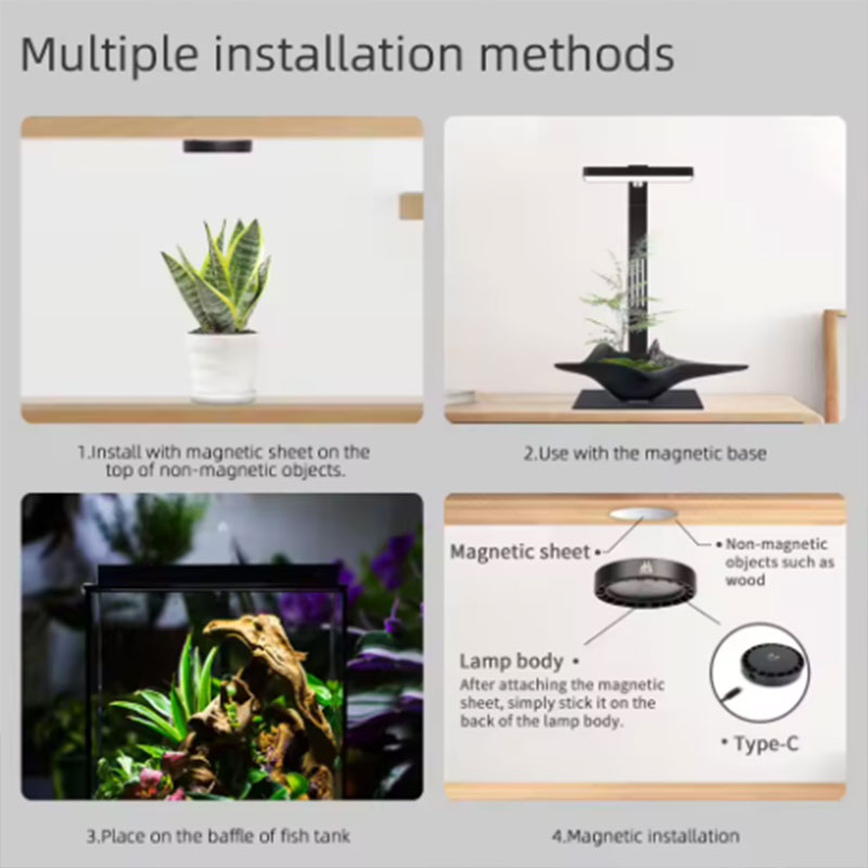 WEEK AQUA Mag Pro Mag Max Nano - огляд і ціна Aquarium Plant Growing