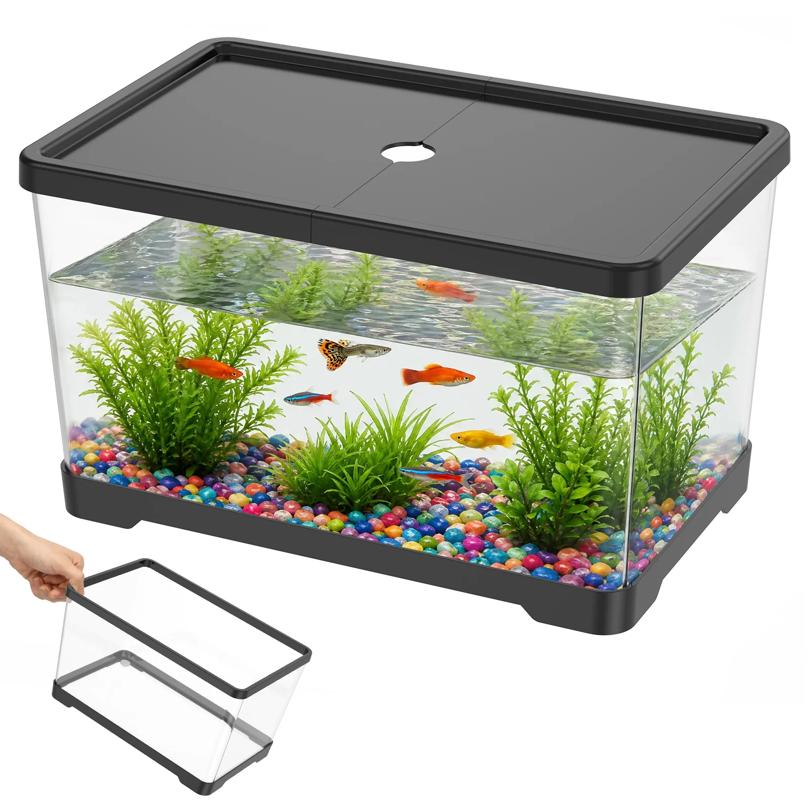 Transparent Fish Tank Aquarium - огляд і ціна Planted Aquarium Bowl