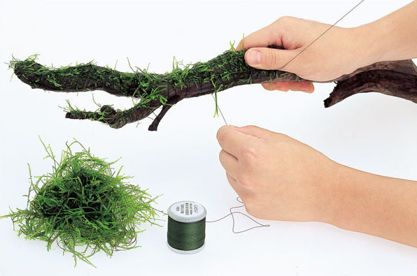 Degradable Aquarium Driftwood  - огляд і ціна Aquarium Plant Echinodorus