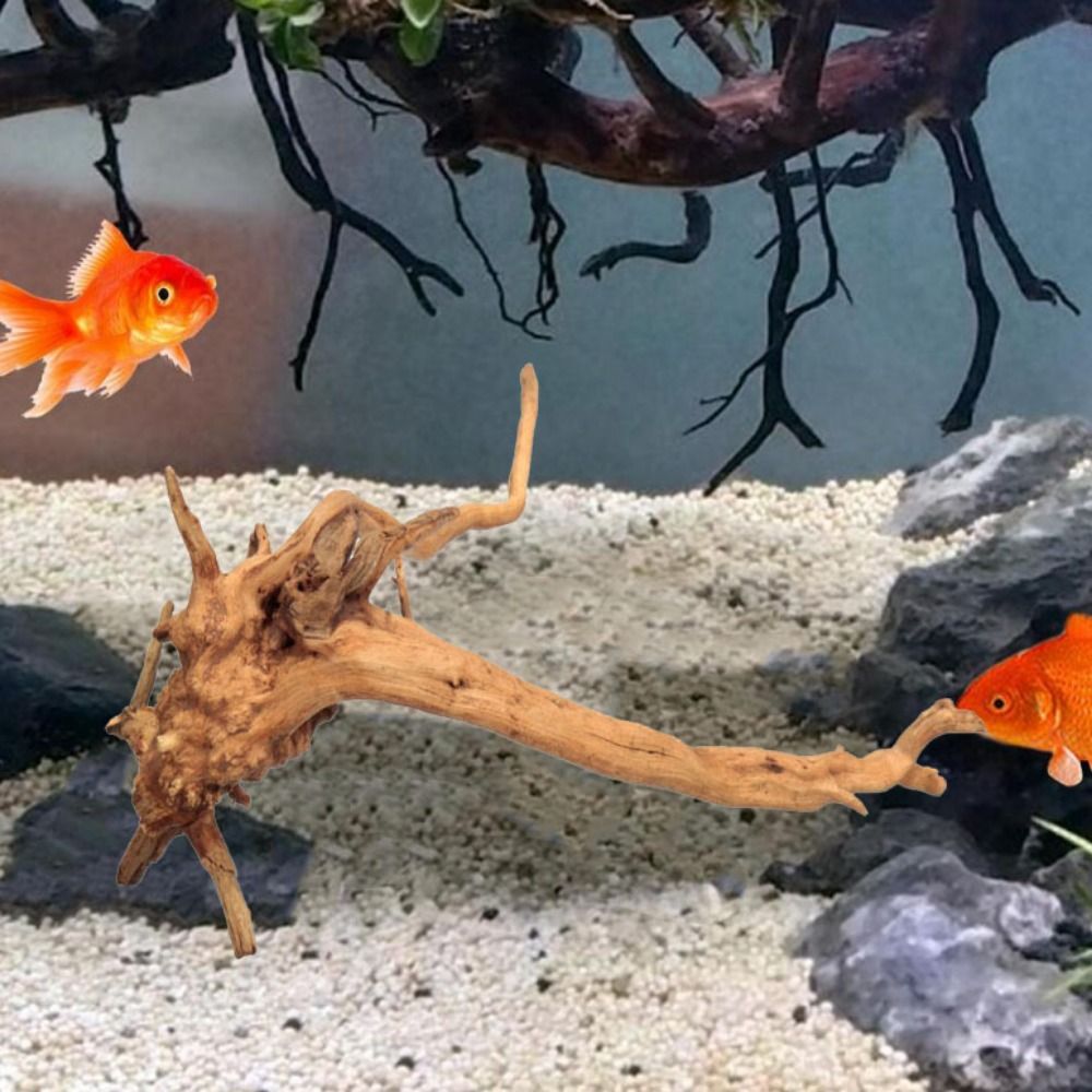 20-25CM Large Aquarium Driftwo - огляд і ціна Planted Aquarium Bowl