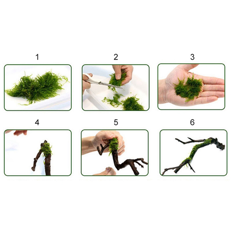 120M DIY Moss Line Binding Lin - огляд і ціна Aquarium Plant Echinodorus