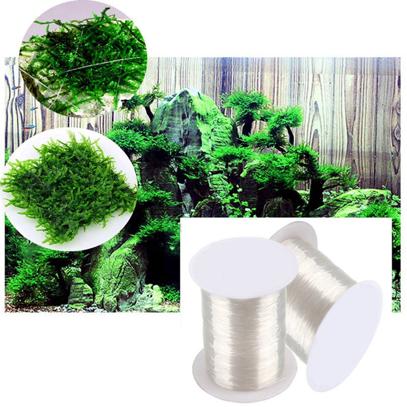 120M DIY Moss Line Binding Lin - огляд і ціна Aquarium Plant Echinodorus
