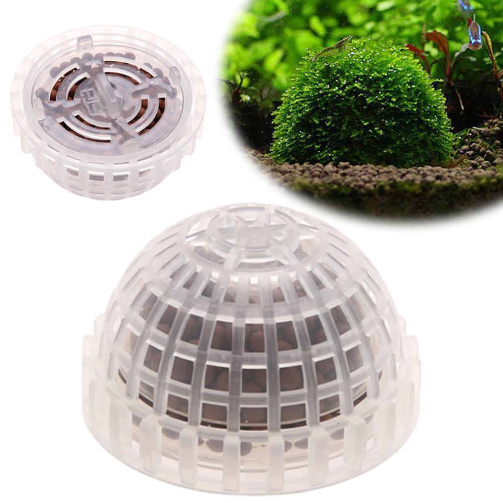 1pc Aquatic Pet Supplies Decor - огляд і ціна Aquarium Plant Echinodorus