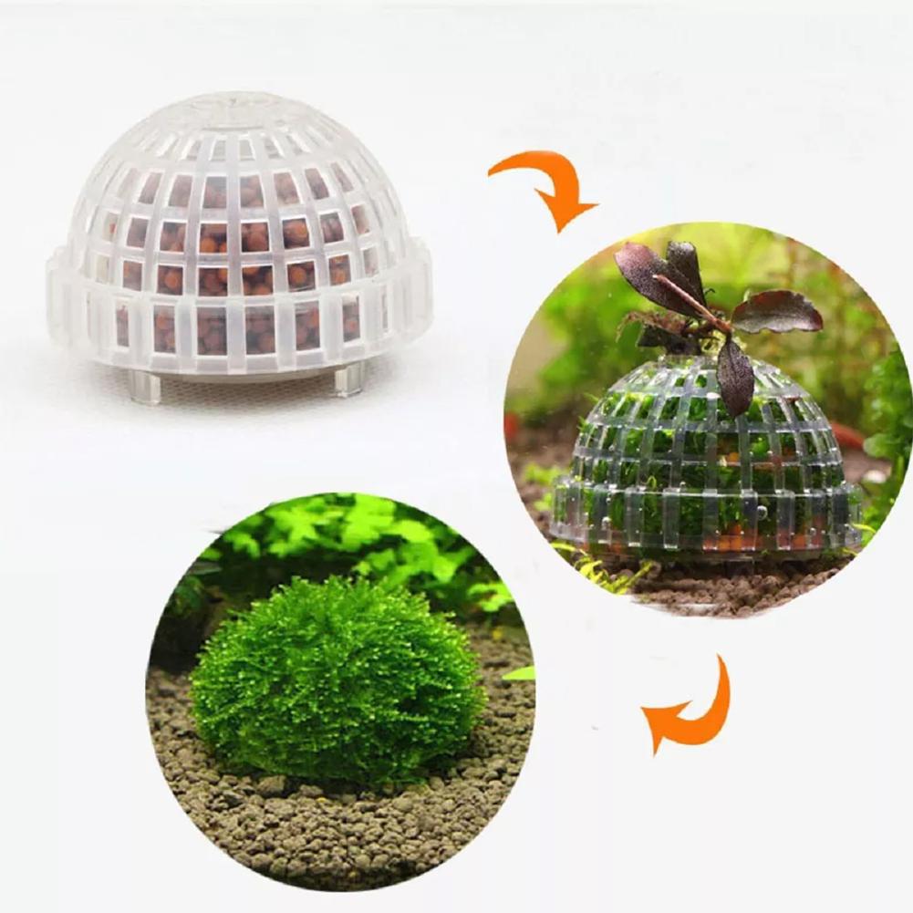 1pc Aquatic Pet Supplies Decor - огляд і ціна Aquarium Plant Echinodorus