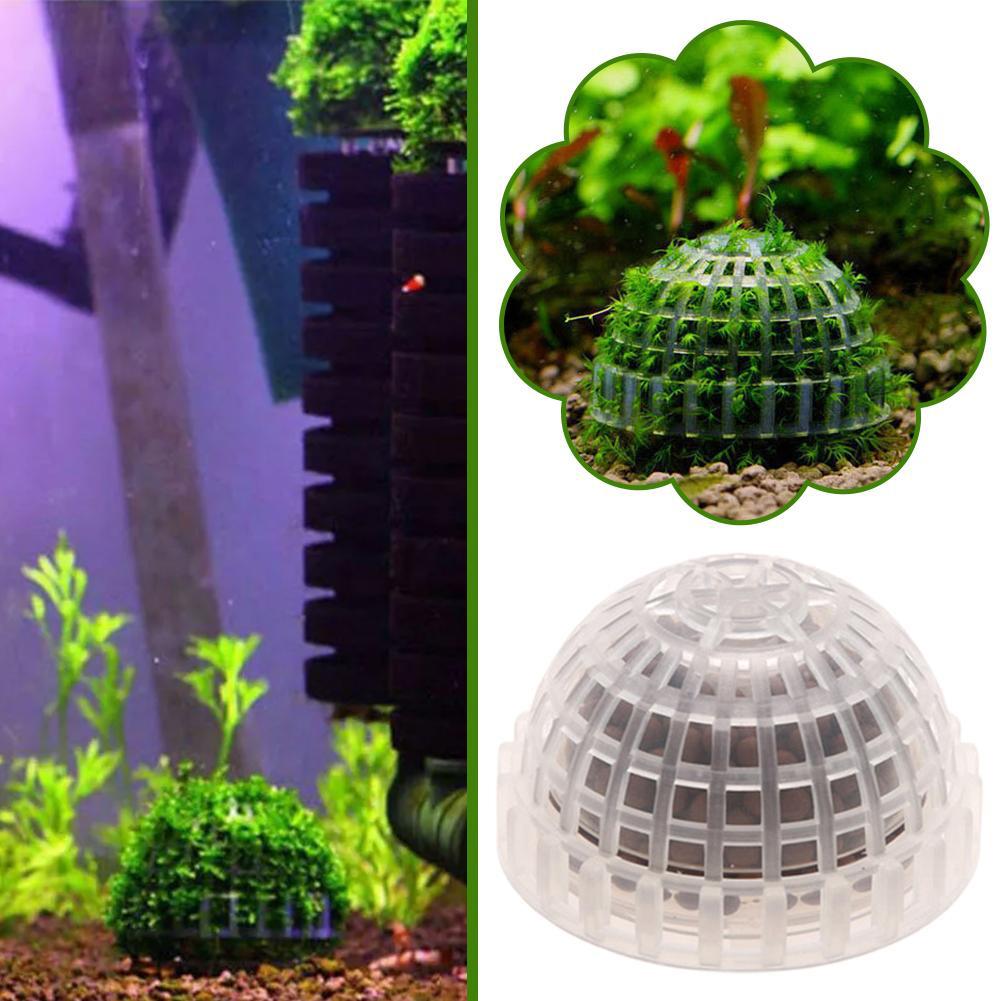 1pc Aquatic Pet Supplies Decor - огляд і ціна Aquarium Plant Echinodorus